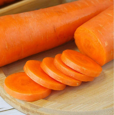 CYBEXIS Gardening Planting Heirloom Carrot Seeds 4000 Seeds Seed(4000 per packet)