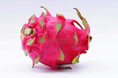Oliver hybrid dragon fruit seed Seed(16 per packet)