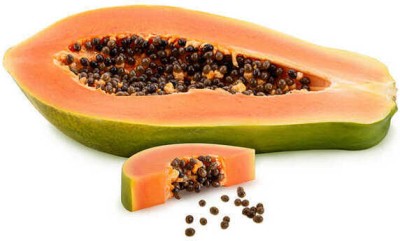 Quentova Florida Royale Papaya Seeds-CTU-9T Seed(40 per packet)