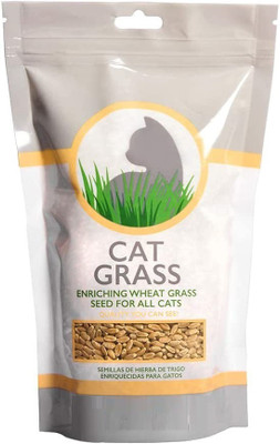 VibeX LX-64 - Hard Red Winter Wheat - (7500 Seeds) Seed(7500 per packet)