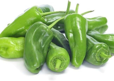 KNESSiN F1 Hybrid Green Padron Pepper Seeds for Terrace Gardening-(300 Seeds) Seed(300 per packet)