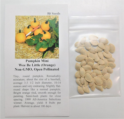 Qualtivate HYB-8A Pumpkin Mini Wee Be Little (Orange) Seed(50 per packet)