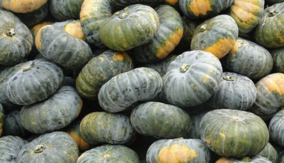 Farmonix Big Size PUMPKIN Seed(1000 per packet)
