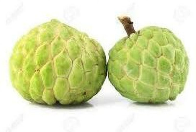Aywal Annona Squamosa/custard Seed(13 per packet)