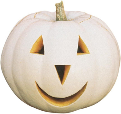 Qualtivate HUA-9A Lumina Pumpkin Seeds Seed(50 per packet)