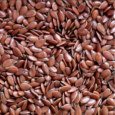everlite flax alsi beej Seed(500 per packet)