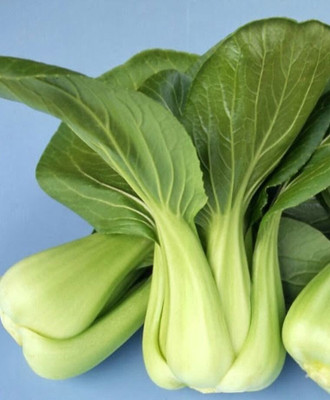 Quentova Choko Baby Pak choi-AHS-3S Seed(250 per packet)