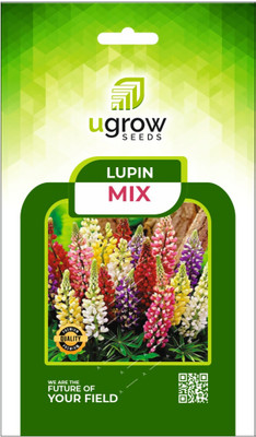 JD AGRO FL-133-MIX-LUPIN Seed(40 per packet)
