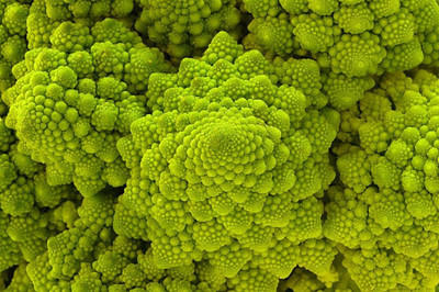 Qualtivate RES-9A Broccoli Romanesco (Mandir -Temple Type) Seed(300 per packet)
