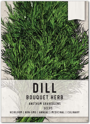 Qualtivate XLL-230 Dill (Bouquet) Seeds Seed(500 per packet)
