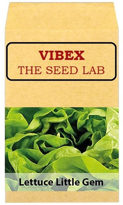 CYBEXIS Lettuce Little Gem Hybrid Seeds4000 Seeds Seed(4000 per packet)