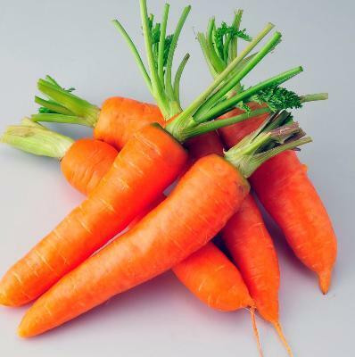 Quentova Orange Carrot Vegetable-3Y-VXI Seed(300 per packet)