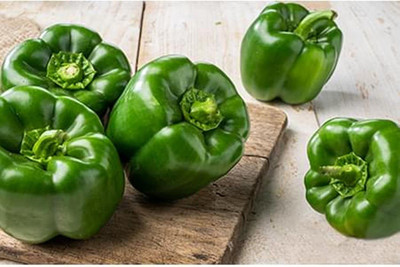 VibeX LX-13 - Organic Natural Green Capsicum - (1350 Seeds) Seed(1350 per packet)