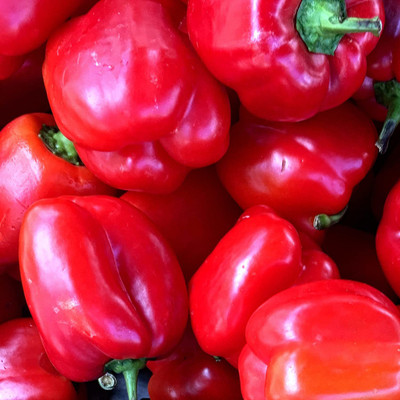 VibeX XLL-69 - Capsicum Red Colour - (150 Seeds) Seed(150 per packet)