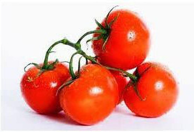 CYBEXIS Divya Hybrid Tomato2000 Seeds Seed(2000 per packet)