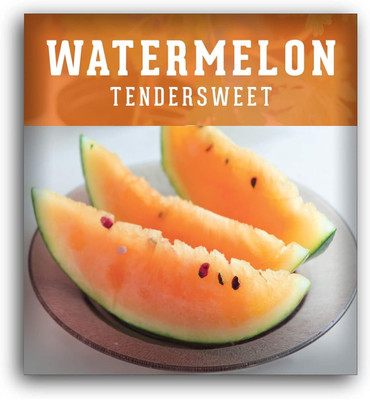 KNESSiN High Germination Tendersweet Orange Watermelon Seeds For Planting-(100 Seeds) Seed(100 per packet)