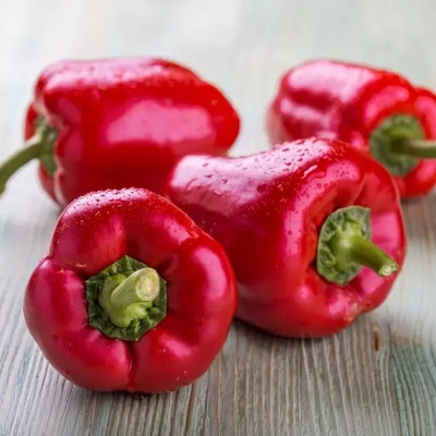 Aro Red Capsicum, Capsicum, Bell Pepper Seed(25 per packet)