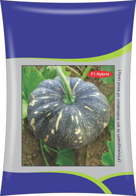 CYBEXIS GBPUT-10 - Pumpkin Kaddu Squash - (100 Seeds) Seed(100 per packet)