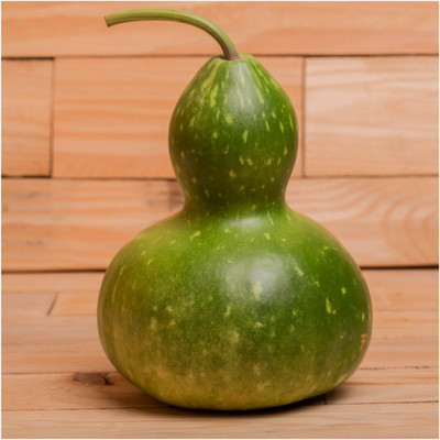 Qualtivate HUA-7A Bottle/Birdhouse Gourd (Lagenaria siceraria) Seed(50 per packet)