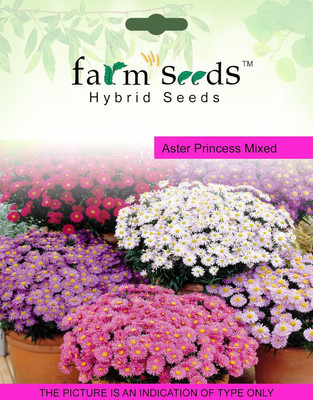 KNESSiN Aster Princess Mixed Seed(25 per packet)