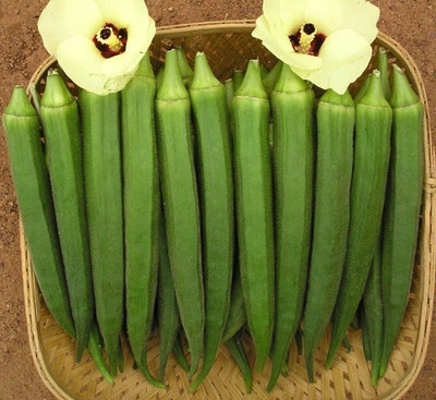 Farmonix Z934_E_OKRA 3600H F1 HYBRID Seed(100 per packet)