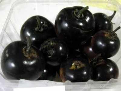 MKR Enterprises Tomato Seed(200 per packet)