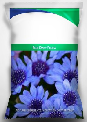 VibeX GUA-66 - Blue Daisy Felicia Flower - (60 Seeds) Seed(60 per packet)