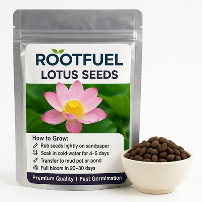 Happy Bazaar RootFuel 100pc Bonsai Lotus Flower Seeds for Home, Kamal & Night bowl Lotus flower Seed(100 per packet)
