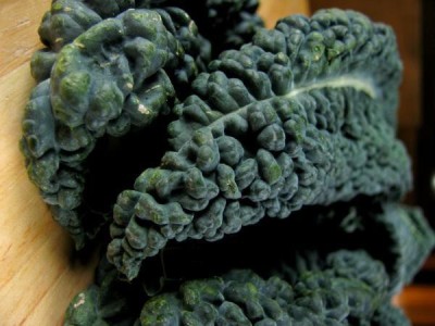 CYBEXIS Dark Green Kale1000 Seeds Seed(1000 per packet)