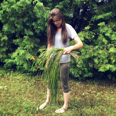 CYBEXIS Multi-Function Plant Seeds for Farm - Sweet Grass Seeds2800 Seeds Seed(2800 per packet)