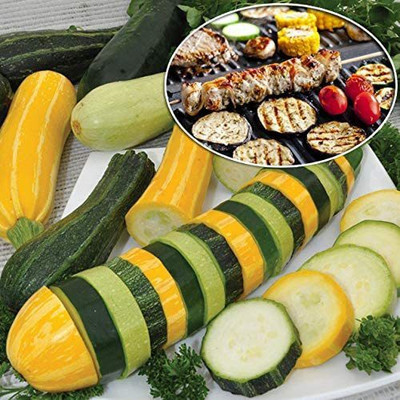 CYBEXIS NBIR-59 - Zucchini and Squash Mix - (75 Seeds) Seed(75 per packet)