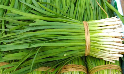 CYBEXIS Chinese Root Chive Organic Herb Leak Seeds700 Seeds Seed(700 per packet)