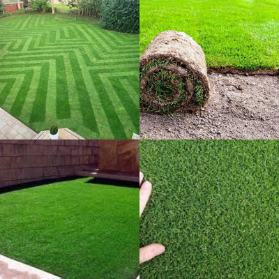 ibains Bermuda lawn grass seeds bij 7400 Seed(7400 per packet)