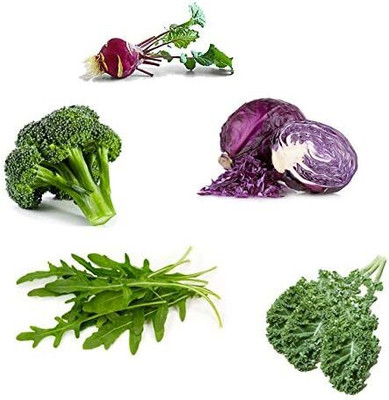 Qualtivate HUA-1A Spicy Salad Mixture of Seeds Seed(300 per packet)