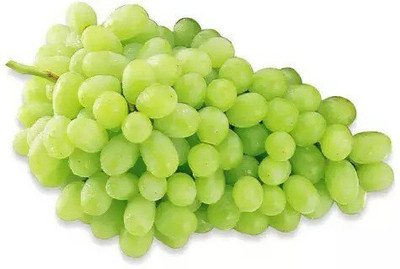 Quentova Extra Sweet green grapes-GAV-3K Seed(100 per packet)