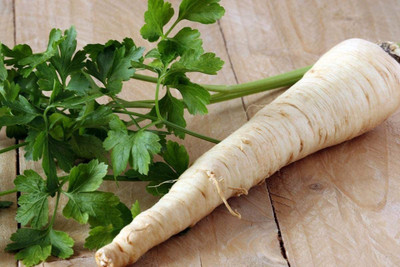 VibeX PAU-45 - Parsley Sugar Root - (750 Seeds) Seed(750 per packet)
