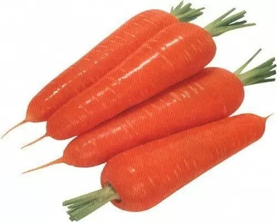 VINSIN नारंगी गाजर Orange Carrot Seed(500 per packet)