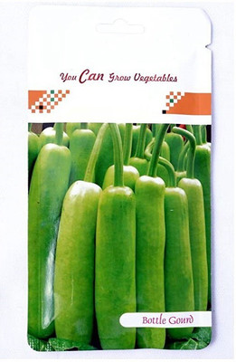 CYBEXIS Bottle Gourd Hybrid100 Seeds Seed(100 per packet)