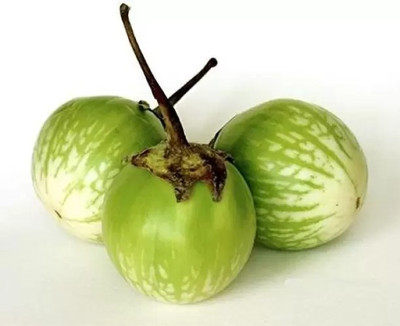 Aro Brinjal Green round, Brinjal, Eggplant Seed(70 per packet)