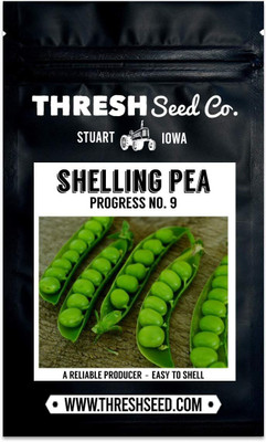Qualtivate TLX-599 Progress No. 9 Shelling Pea Seed(50 per packet)