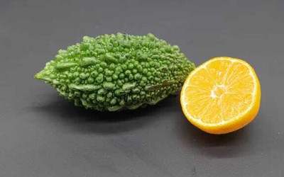 Paudhaa F1 BEST QUALITY BITTER GOURD SEEDS Seed(33 per packet)
