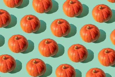 CYBEXIS XLR-23 - Cucurbita Pumpkin Premium Hybrid Quality - (300 Seeds) Seed(300 per packet)