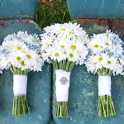 Qualtivate NBIR-102 F1 Shasta Daisy Flower Seeds Seed(50 per packet)