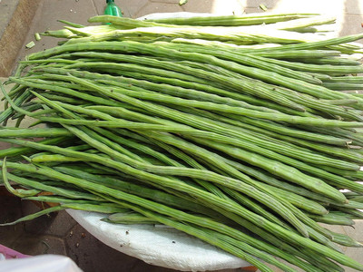 Aywal MORINGA/DRUMSTICK/SAIJAN Seed(170 per packet)