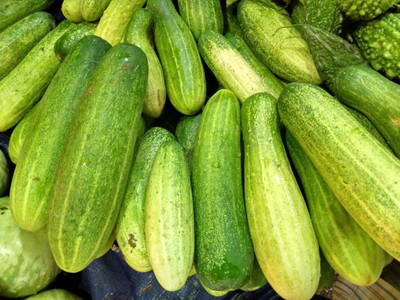 BDSresolve khira seeds/ Cucumber seeds 42 Seed(42 per packet)