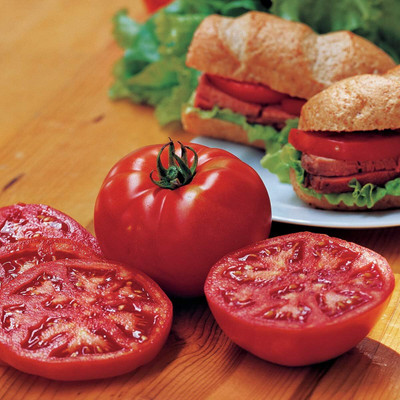 Qualtivate PUAS-7A Steak Sandwich' Hybrid | Red Slicing Tomato Seed(300 per packet)