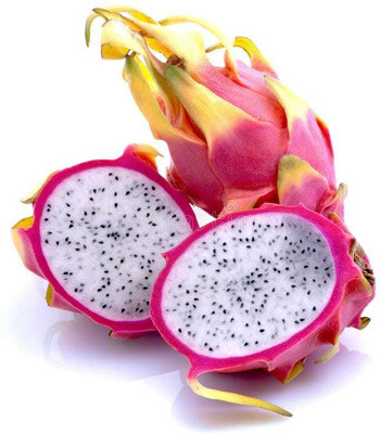Oliver f1 QUALITY dragon fruit Seed(25 per packet)