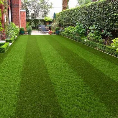 SREE Grass Seeds for Garden/Park/Playground, Lawn Grass Seed(20000 per packet)
