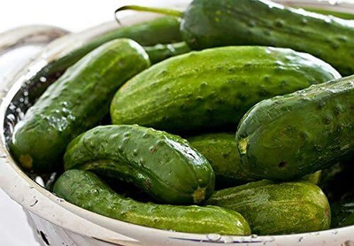 Qualtivate HUA-8A Heirloom Pickling Cucumber Seeds Seed(300 per packet)