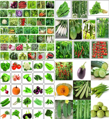 ibains All use combo vegetable seeds beez 217 Seed(201 per packet)